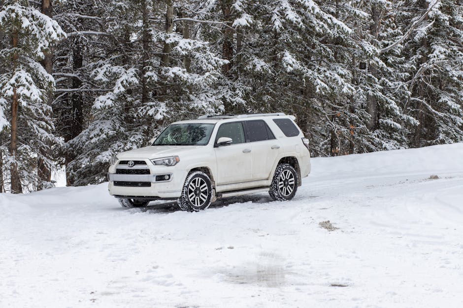 Winterdiesel — Was du im Winter beim Tanken beachten musst